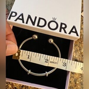 RETIRED! Pandora Silver SNAKE  Open Cable Bangle